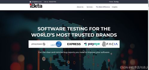 2024年12家最佳软件测试服务公司