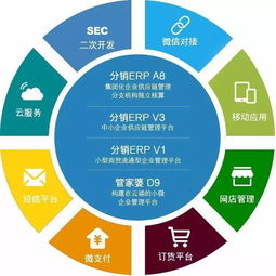 管家婆天通产品全系列详解 企业数字化转型的基石——基础软件服务